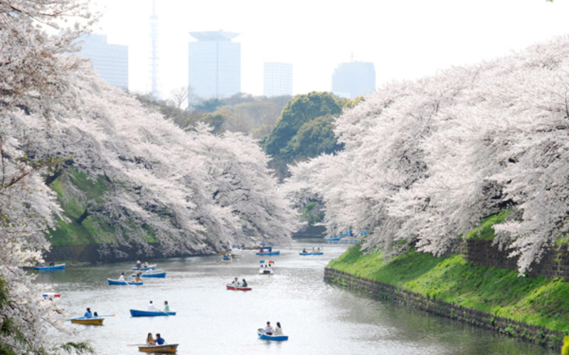 tokyo-japan-05